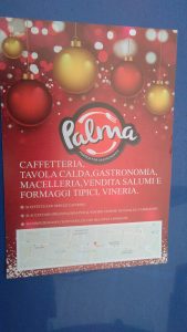 volantinaggio a torino per la Palma