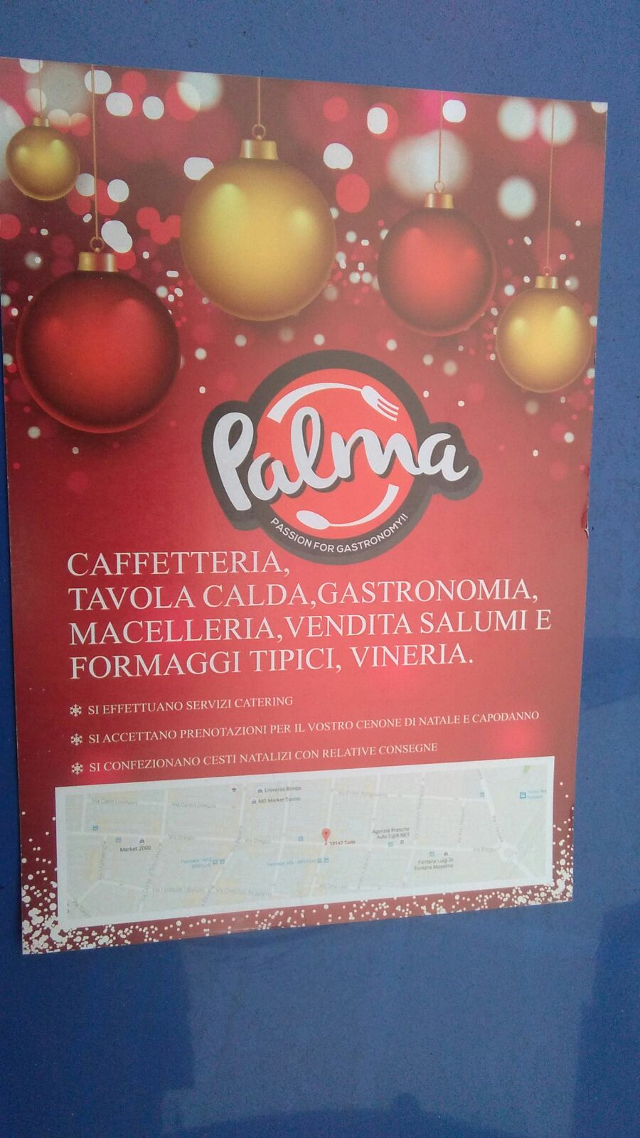 volantinaggio a torino per la Palma