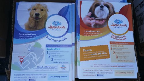 Volantinaggio a Varese per Wash Dog